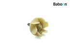 Waterpomp Ducati ST 2 1997-2003 (ST2) Impeller, Verzenden, Gebruikt