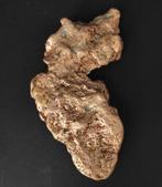 Koper nugget - Hoogte: 2 cm - Breedte: 7 cm- 475 g - (1)