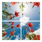 Klaprozen plafond | Fotoprint | verdeeld over 4 panelen, Ophalen of Verzenden, Nieuw in verpakking, Verlichting