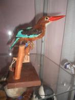 IJsvogel Taxidermie volledige montage - Martin-chasseur de, Nieuw