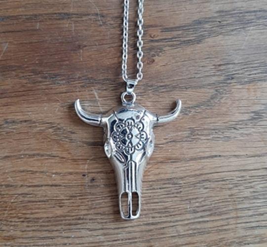 RVS_ketting - met een skull - schedel - hanger - hand, Sieraden, Tassen en Uiterlijk, Kettingen, Verzenden