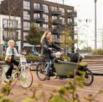 Steco Monkey Maxi Cosi beugel - Voor bakfiets - Zwart, Verzenden, Zo goed als nieuw
