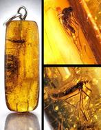 Barnsteen - One-of-a-Kind BALTIC AMBER Pendant – CRANE FLY