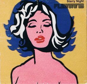 cd single card - Flemming - Starry Night, Cd's en Dvd's, Cd Singles, Zo goed als nieuw, Verzenden