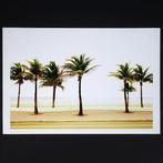 Frank Machalowski - Palm Beach Road