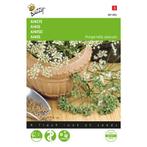 Groot assortiment aan groente, kruiden en bloemenzaden