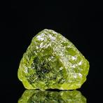 VIVID Olijfgroene Diamant • GEEN MINIMUMPRIJS • Zeldzame