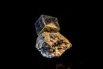 Uitzonderlijk kubisch pyriet in zijn matrix – 29,15 g –