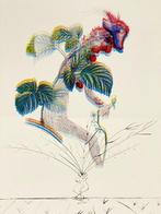 Salvador Dali (1904-1989) - Flordali - Framboisier