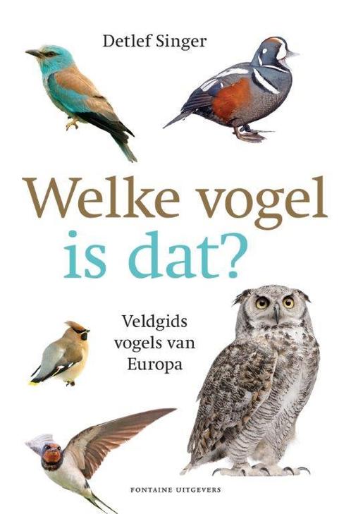 Welke vogel is dat? 9789059568426 Detlef Singer, Boeken, Hobby en Vrije tijd, Gelezen, Verzenden
