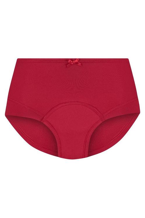 RJ Period Short La Fleche Heavy Flo Maat:, Kleding | Dames, Ondergoed en Lingerie, Overige kleuren, Verzenden