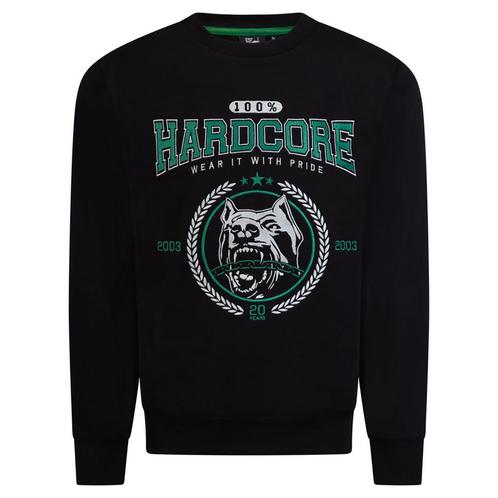 100% HC Sweater College 2003 (Sweaters), Kleding | Dames, Truien en Vesten, Nieuw, Verzenden