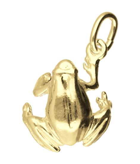 Gouden Kikker ketting hanger, Sieraden, Tassen en Uiterlijk, Kettinghangers, Verzenden
