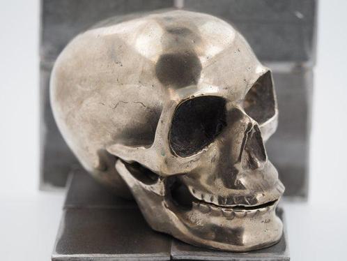 Religieus Barok / Gotisch Vanitas Schedel Dood Grand Tour, Verzamelen, Dierenverzamelingen
