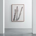 Nelson Magro - The artists wall: Den Botaniek (Antwerpen), Antiek en Kunst