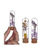 Actie mini dome stolpjes gevuld incl droogbloemen ø2 h.7 cm, Hobby en Vrije tijd, Knutselen, Ophalen of Verzenden, Nieuw