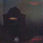 LP gebruikt - Robyn Hitchcock &amp; The Egyptians - Fegma..., Verzenden, Zo goed als nieuw