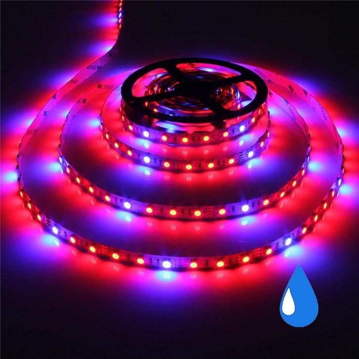 Grow light led strip - Rood/Blauw - IP65 - 4:1 - 1 meter, Hobby en Vrije tijd, Elektronica-componenten, Nieuw, Ophalen of Verzenden