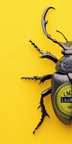 F2B - BeetleCan Zan 1I8, Antiek en Kunst