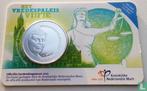 Nederland 5 euro 2013 (coincard - BU - variant) 100 year..., Verzenden, Losse munt, Zilver