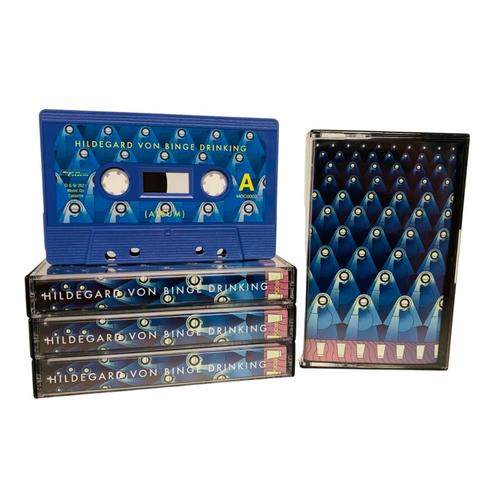 Cassette - Hildegard von Binge Drinking - s/t, Cd's en Dvd's, Vinyl | Overige Vinyl, Verzenden