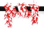 Rood Witte Boa Lang 1,8m, Nieuw, Verzenden