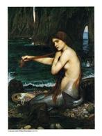 Kunstdruk John William Waterhouse - A Mermaid 60x80cm, Verzenden, Nieuw