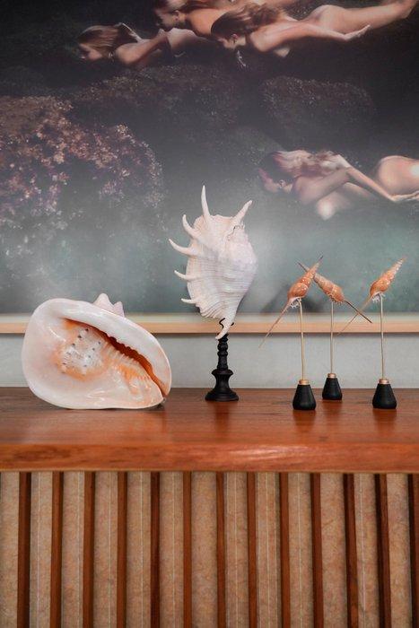 Ingewikkelde set Tibia Fusus op aangepaste standaards -, Antiek en Kunst, Kunst | Designobjecten
