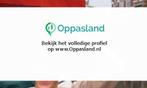 Ik ben Joram, 19 jaar oud en ik zoek oppaswerk in Venlo., Diensten en Vakmensen, Oppas en Kinderopvang