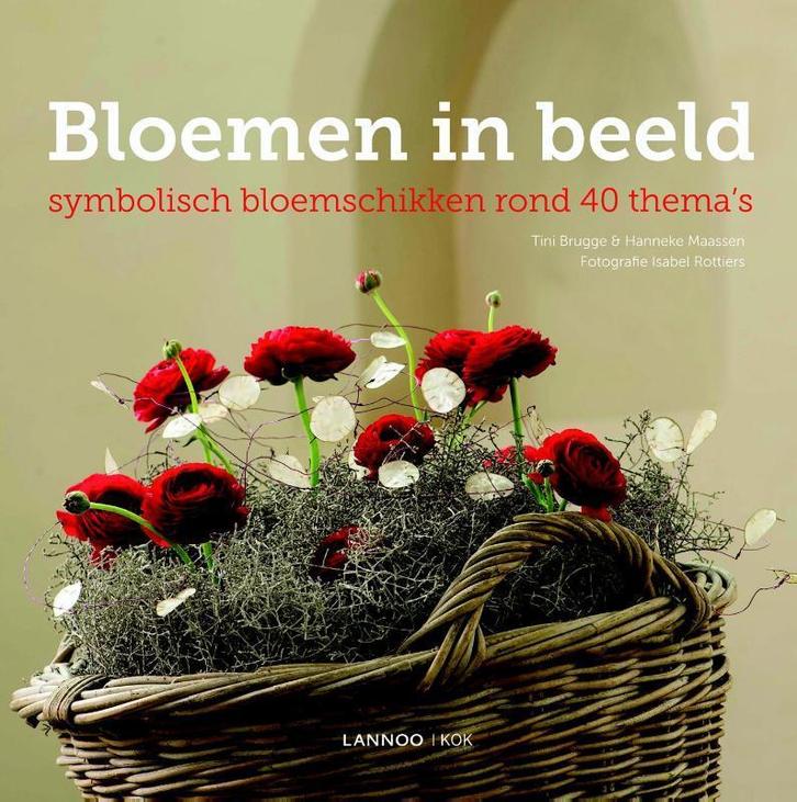 Bloemen in beeld 9789059952010 Hanneke Maassen, Boeken, Godsdienst en Theologie, Zo goed als nieuw, Verzenden