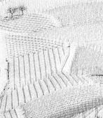 Franco Turcati - Langhe, Piemonte (358), Antiek en Kunst