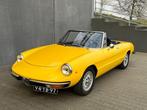 Alfa Romeo - 2000 Spider Veloce - 1973