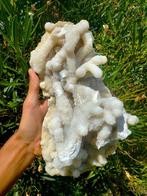 Verbazingwekkende Koraal Chalcedoon Kristal op matrix -, Verzamelen, Mineralen en Fossielen