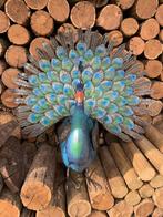 Decoratief ornament pauw tuinbeeld 80 cm - Figuur - Metaal