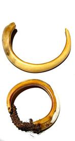 Set van twee neusstukken - Highlands - Sterrengebergte -