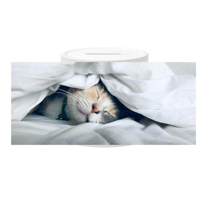 Spaarpot - Poes Slapend onder Laken NIEUW, Verzamelen, Spaarpotten, Nieuw, Ophalen of Verzenden
