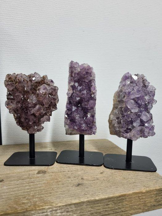 Schitterende set van amethist op luxe standaard Vrije vorm-, Verzamelen, Mineralen en Fossielen