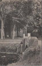 BERGEN N. H. - Sluis, Verzamelen, Verzenden, Gelopen
