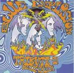 cd - Various - Blue Explosion (Tribute To Blue Cheer), Cd's en Dvd's, Verzenden, Zo goed als nieuw