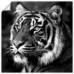 Artland Artprint Tijger als artprint op linnen, poster,, Huis en Inrichting, Woonaccessoires | Schilderijen, Tekeningen en Foto's