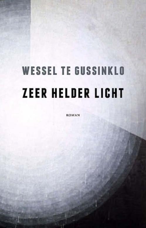 Zeer helder licht 9789082175103 Wessel te Gussinklo, Boeken, Romans, Gelezen, Verzenden
