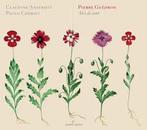 cd digi - Pierre GuÃ©dron - Airs De Cour, Verzenden, Zo goed als nieuw