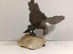 sculptuur, Aquila - 20 cm - Gepatineerd brons