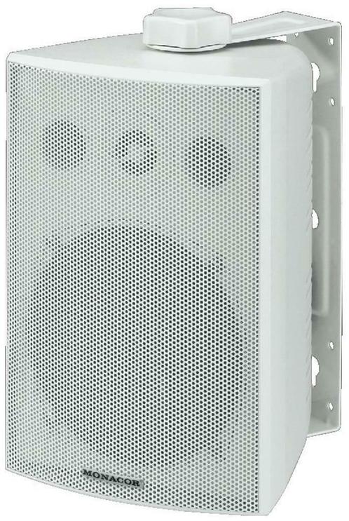 2 weg luidspreker 100 Watt buiten speaker 8 ohm en 100V IP65, Audio, Tv en Foto, Luidsprekers, Nieuw, Verzenden