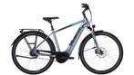 Pegasus Premio Evo 5F 2022 - Zlver - Elektrische fiets, Verzenden, Nieuw