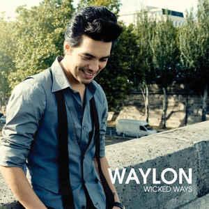 cd - Waylon  - Wicked Ways, Cd's en Dvd's, Cd's | Overige Cd's, Zo goed als nieuw, Verzenden