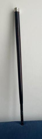 Wandelstok - Hout, Zilver, Antiek en Kunst