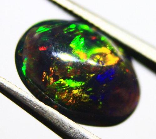 Ct. 1.4 Natuurlijke Ethiopische Zwarte Opaal Cabochon -, Verzamelen, Mineralen en Fossielen