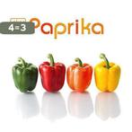 Paprika / Koken met passie 9789087241056 Thea Spierings, Verzenden, Zo goed als nieuw, Thea Spierings