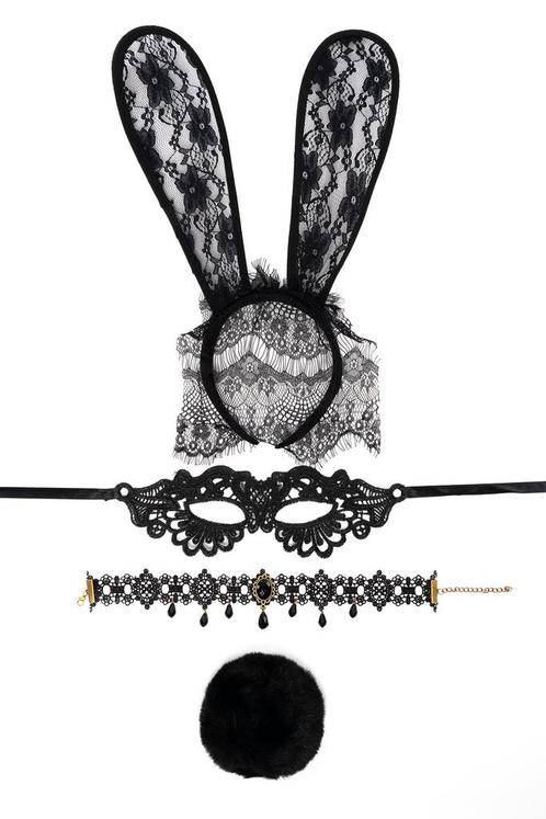 Haarband Set Bunny Zwart Kant Sluier Konijn Oren Masker Staa, Kleding | Dames, Carnavalskleding en Feestkleding, Accessoires, Nieuw
